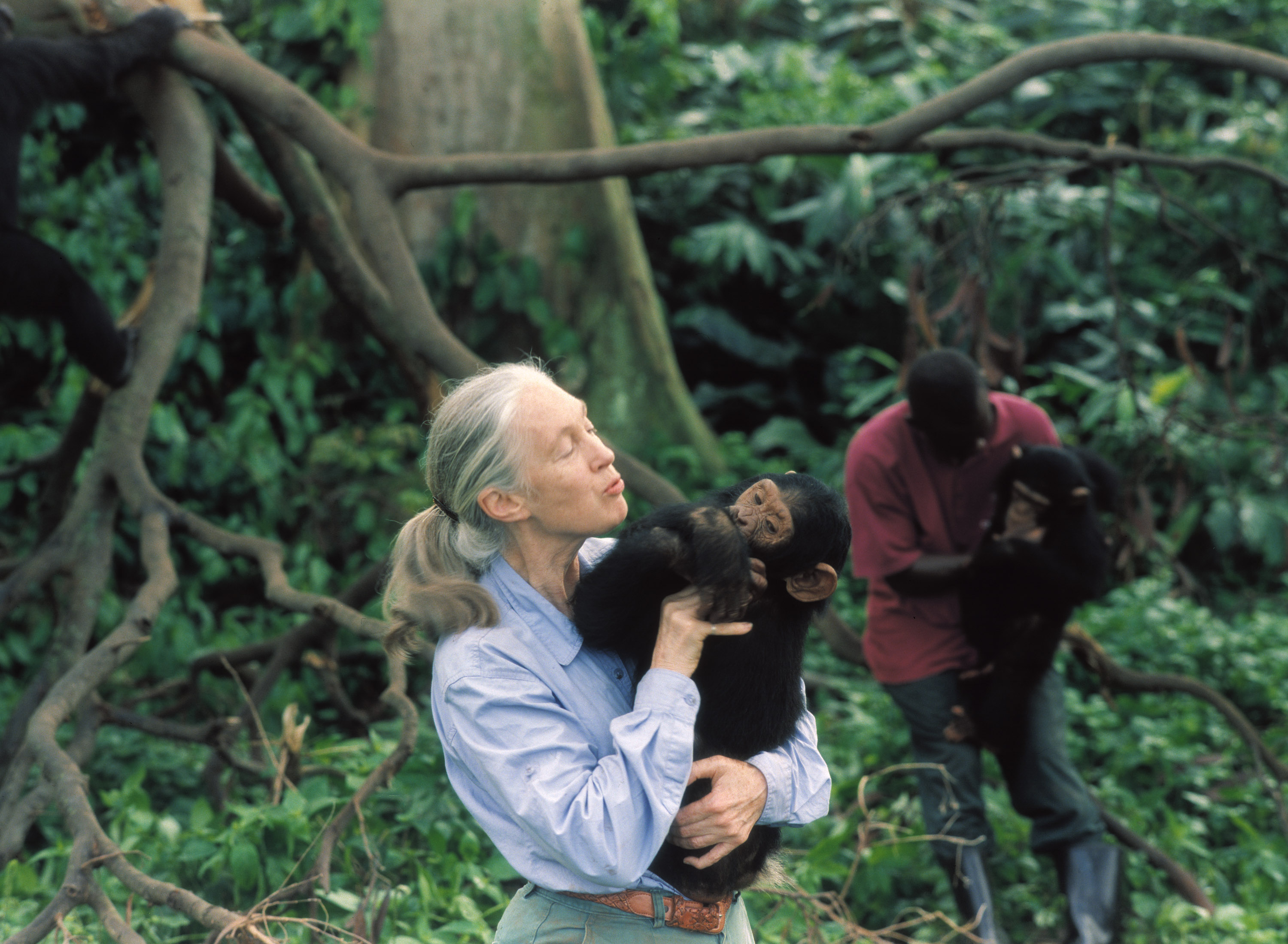 Jane Goodall Est100 Some Photos