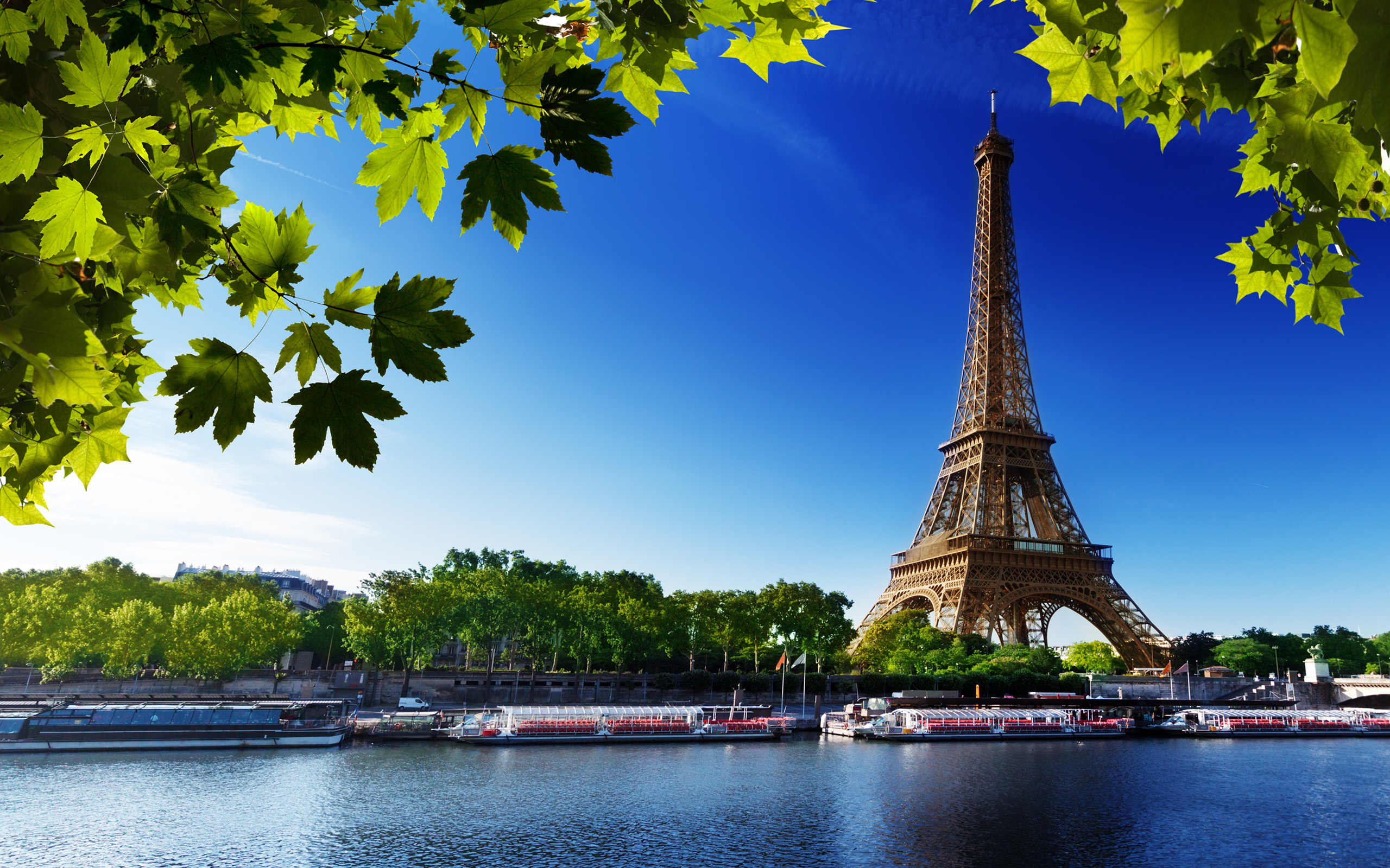 Paris Eiffel Tower Wallpaper With