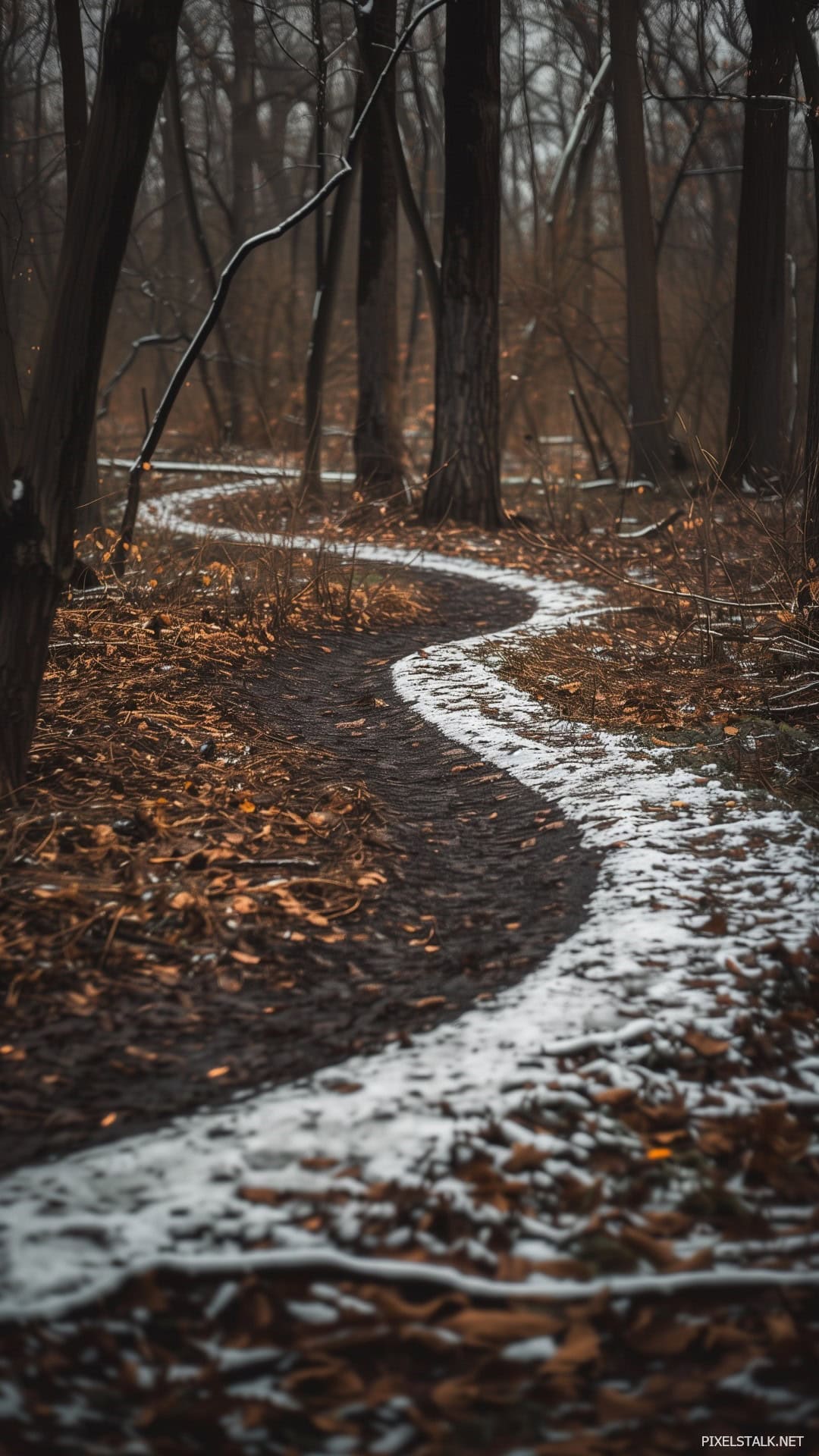 Winter Phone Wallpaper