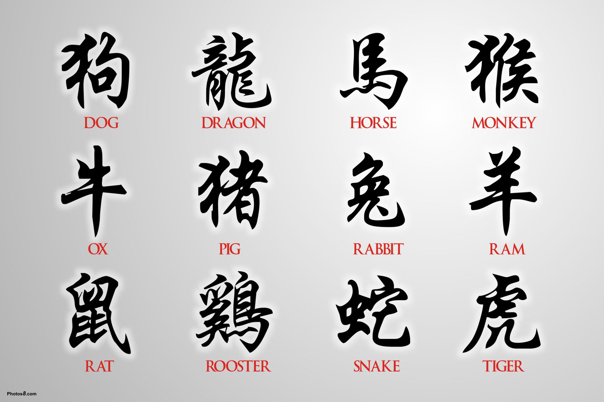 Chinese Zodiac Images Crazy Gallery