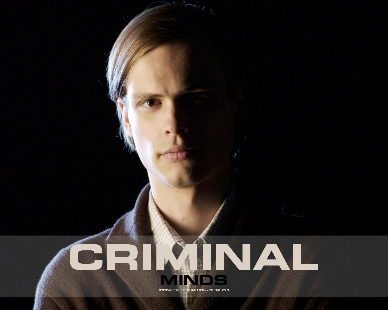 Criminal Minds   Criminal Minds Wallpaper 2953194