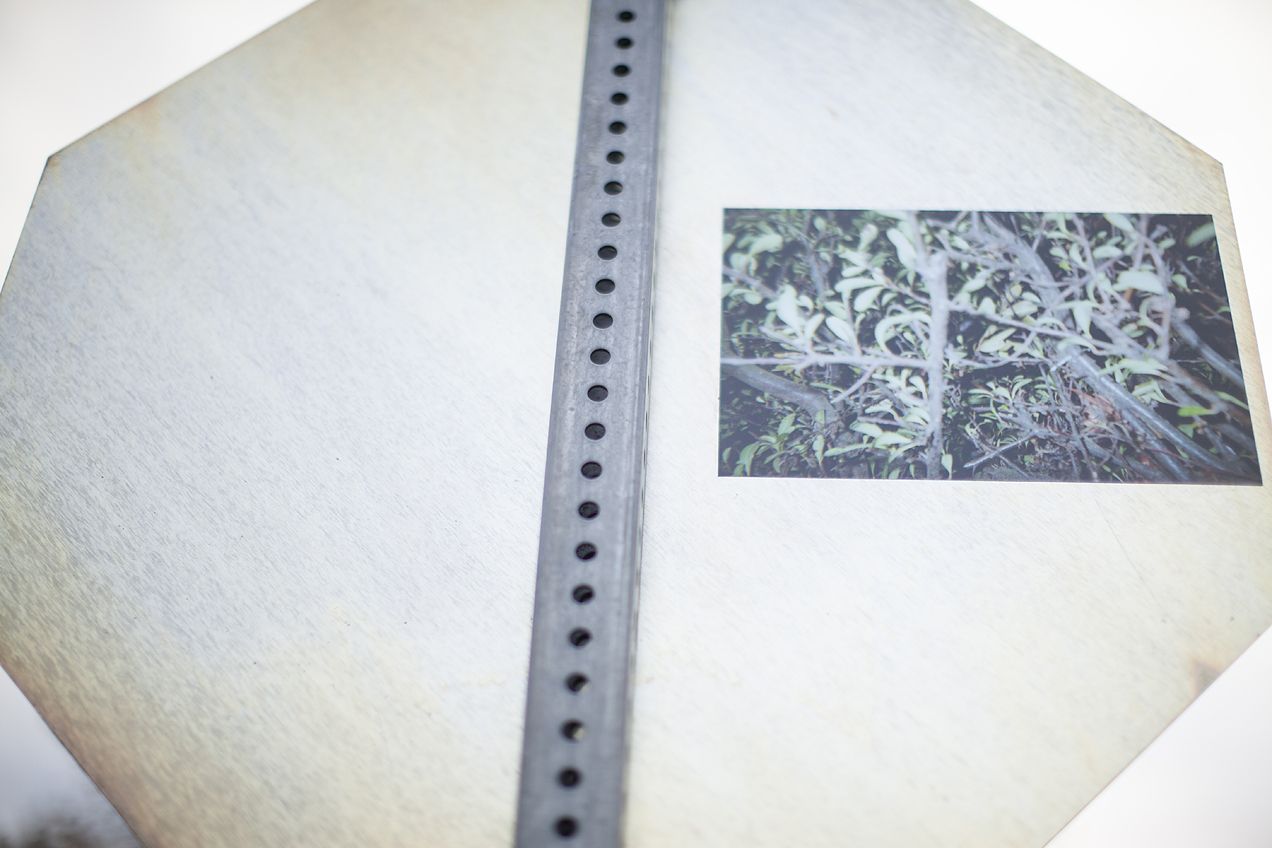 Free download photography street art installation portland oregon