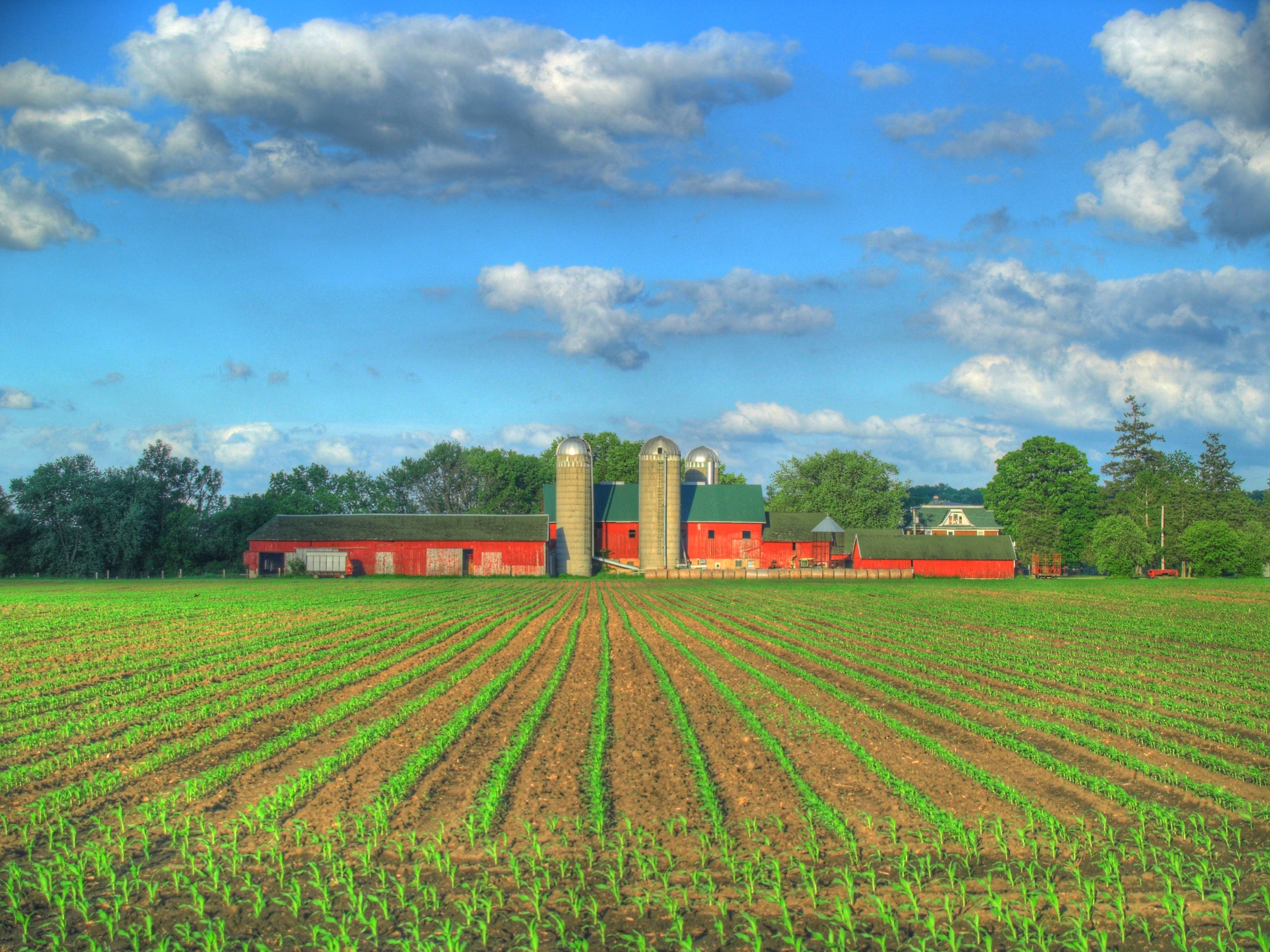 Farm HD Wallpaper