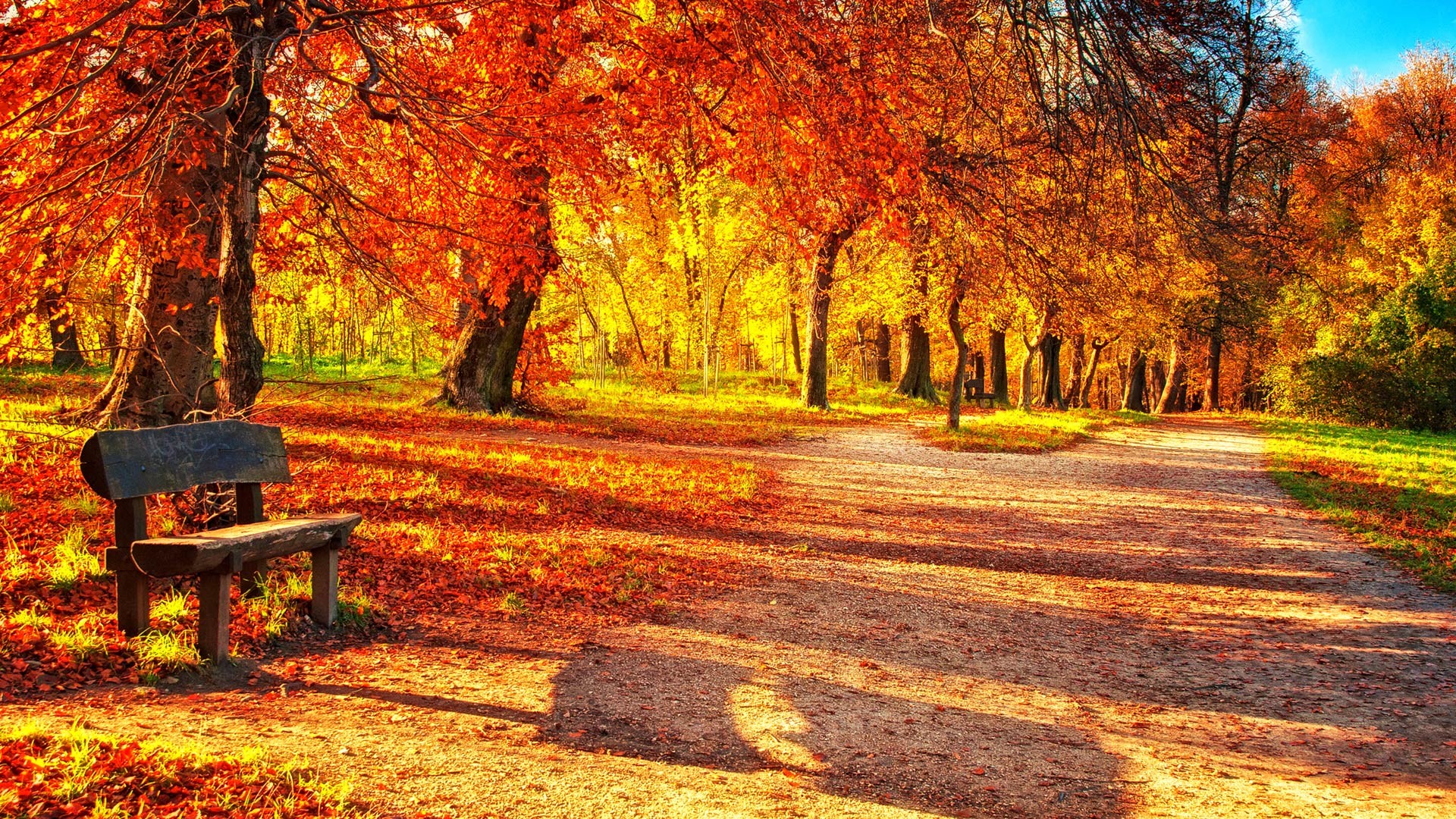 Desktop Wallpaper Autumn Leaves Image