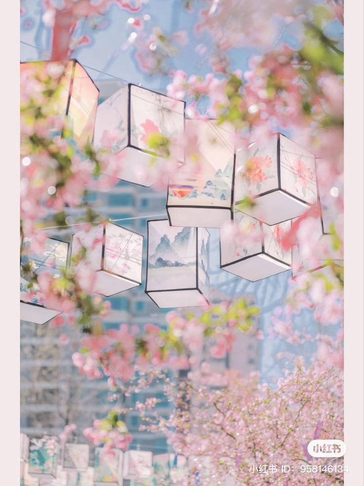 Pink Cherry Blossom Wallpaper