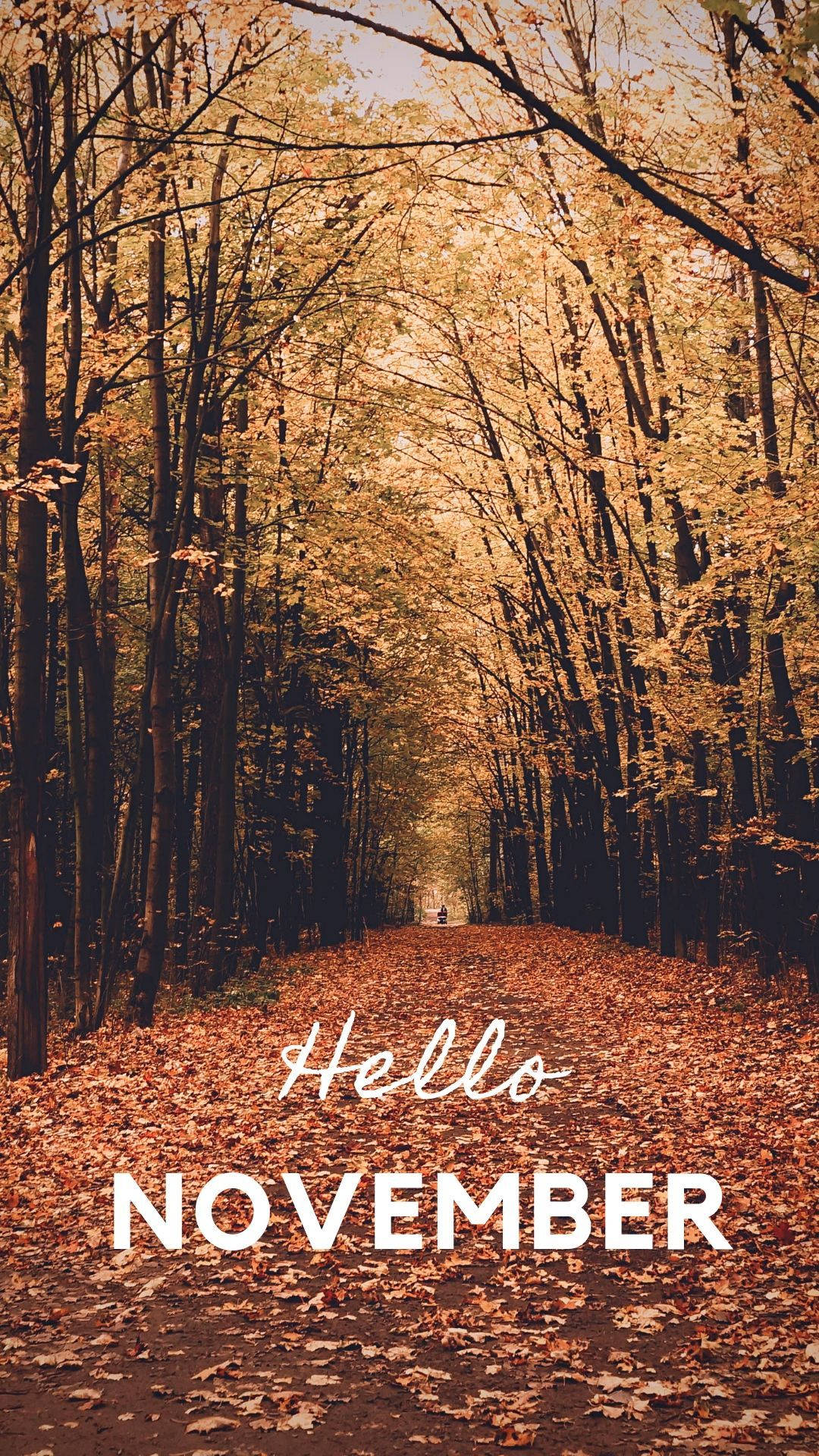 Breathtaking November iPhone Screensaver Wallpaper