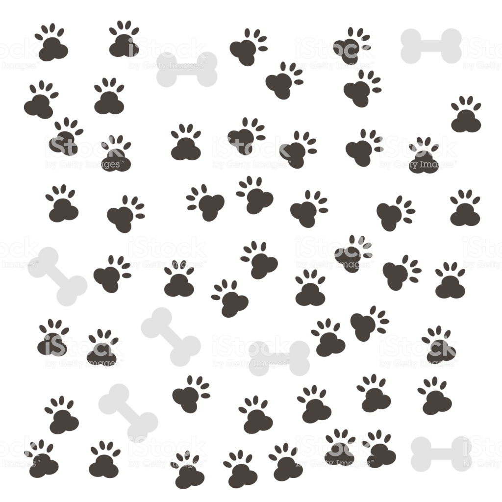 Paws Background Vector Illustration Stock