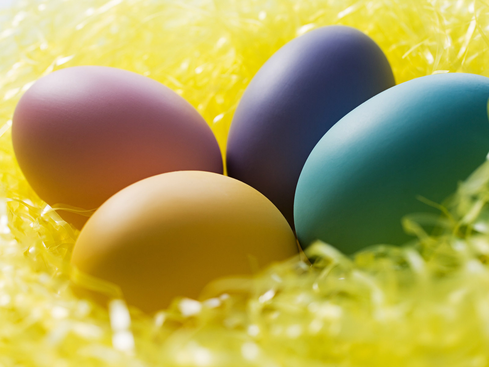  chicks and easter eggs wallpapers for your desktop backgrounds