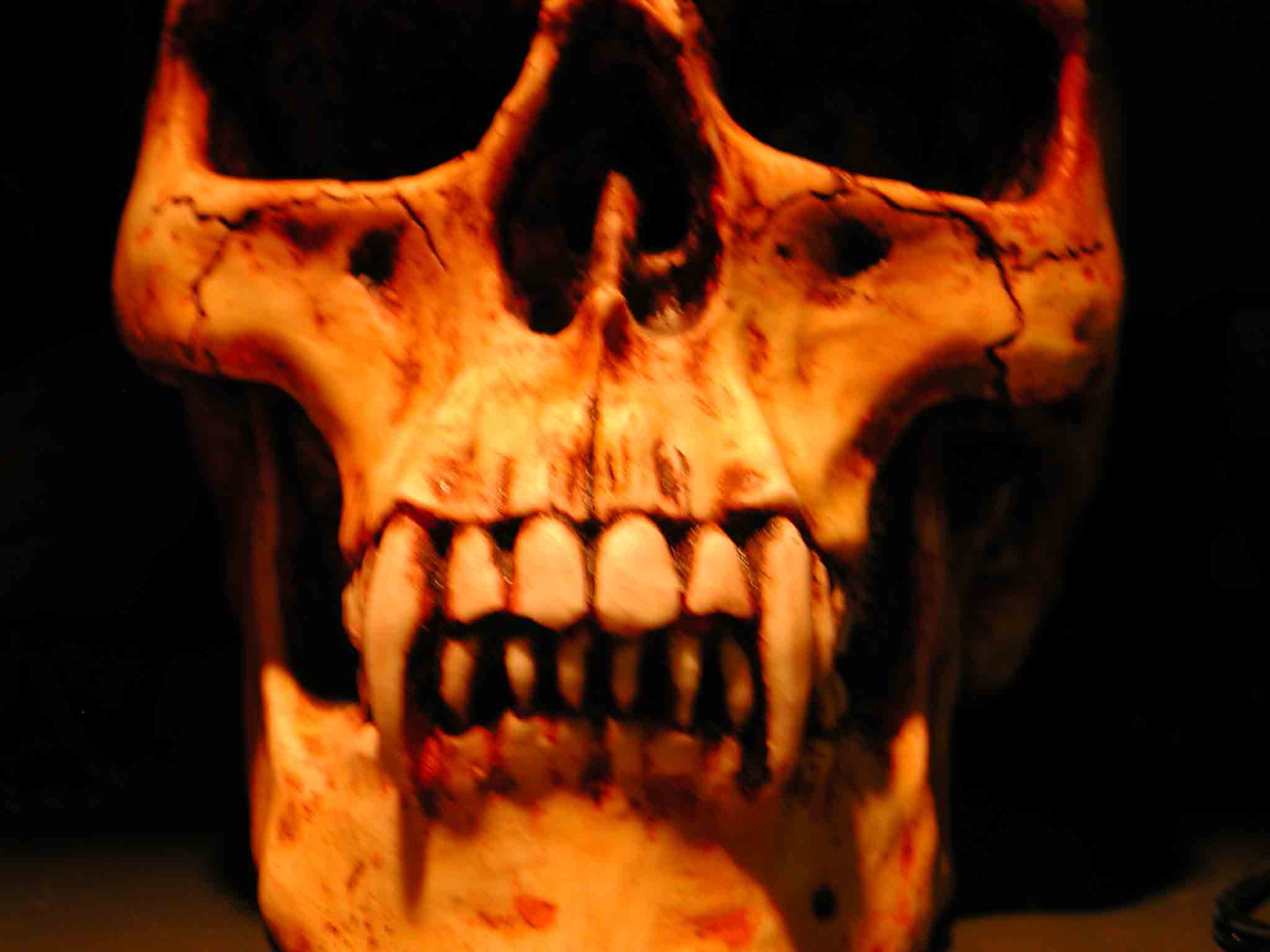 Vampire Skull Wallpaper By