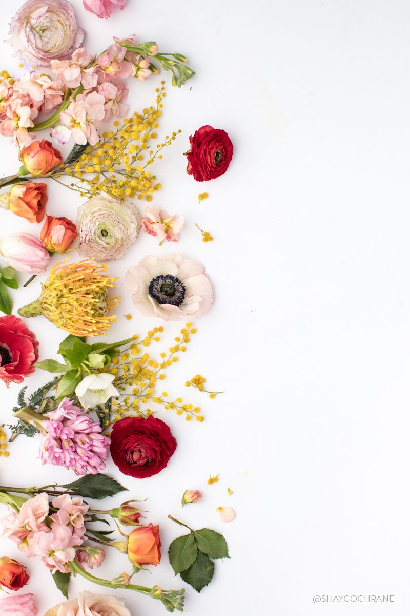 Endless Gorgeous Image For Your Instagram Feed Floral Flatlays