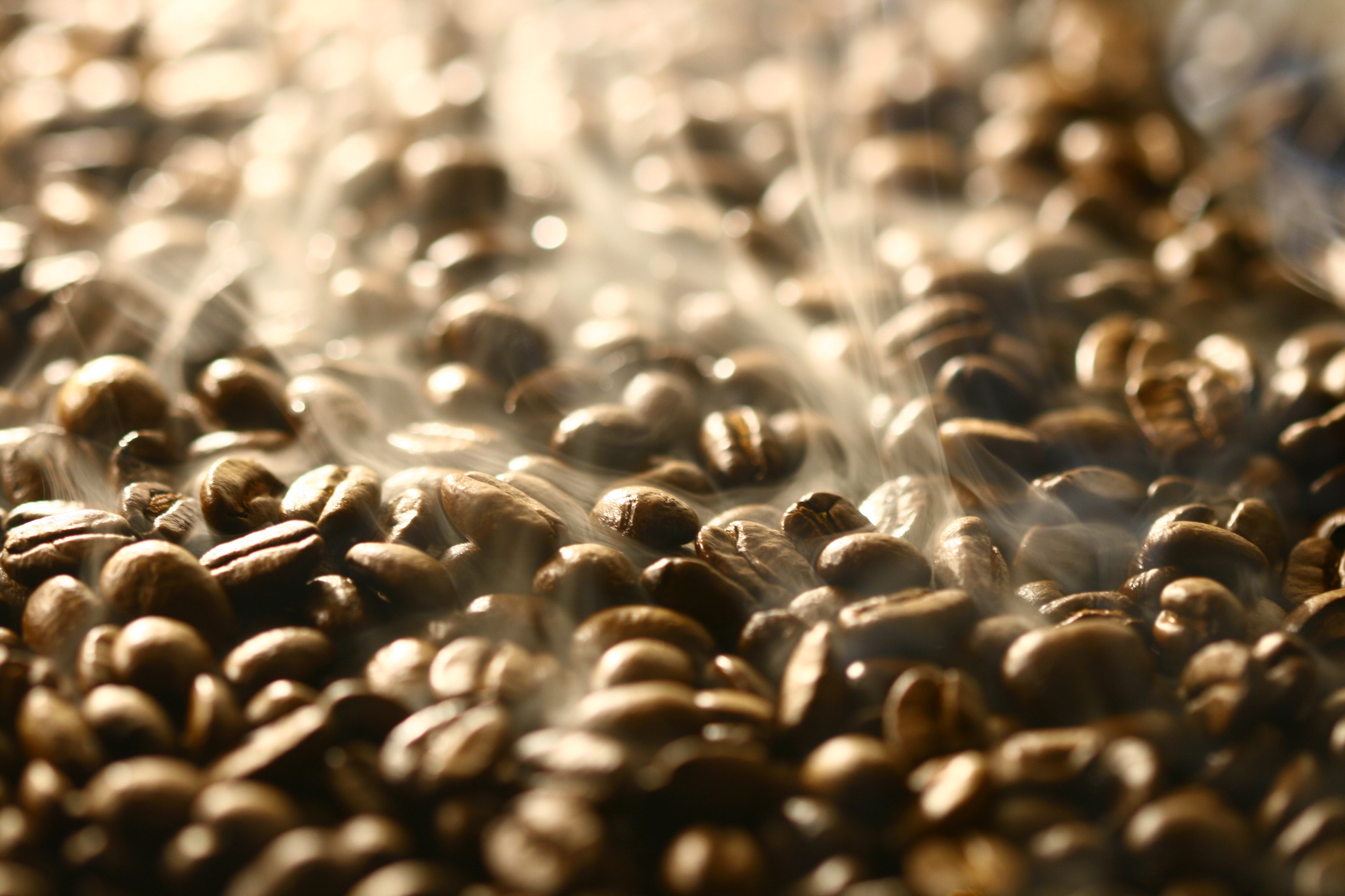 Aromatic Black Coffee Beans Background Gallery