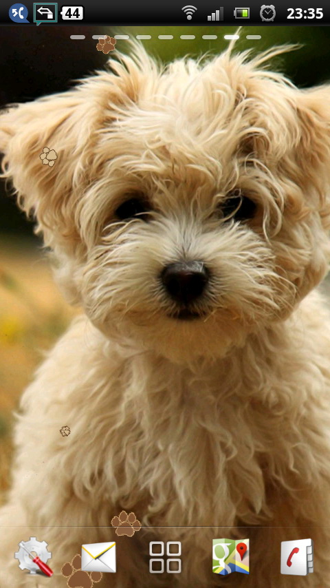 Cute Puppy Live Wallpaper For Your Android Phone