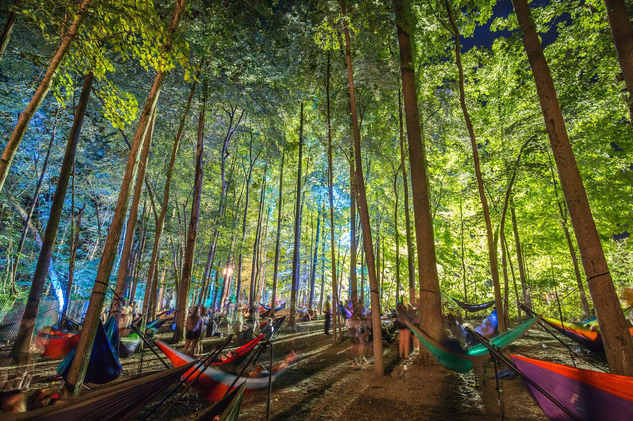 Firefly Music Festival Announces Daily Lineup For