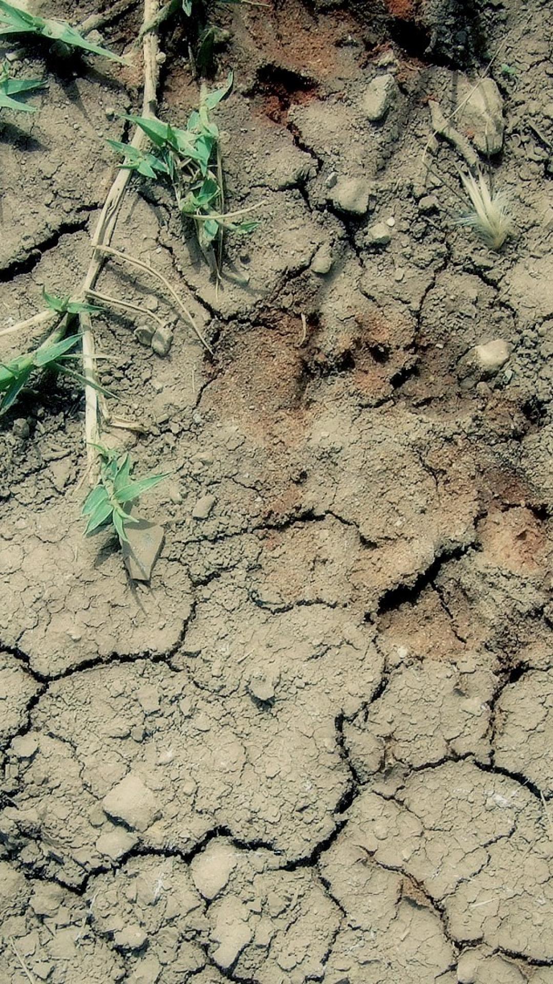 Free download Surface textures mud clay cracks wallpaper 70491