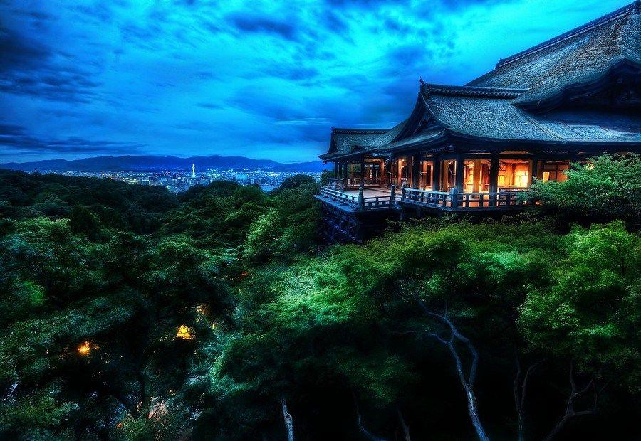 The Treetop Temple Protects Kyoto Nature Desktop