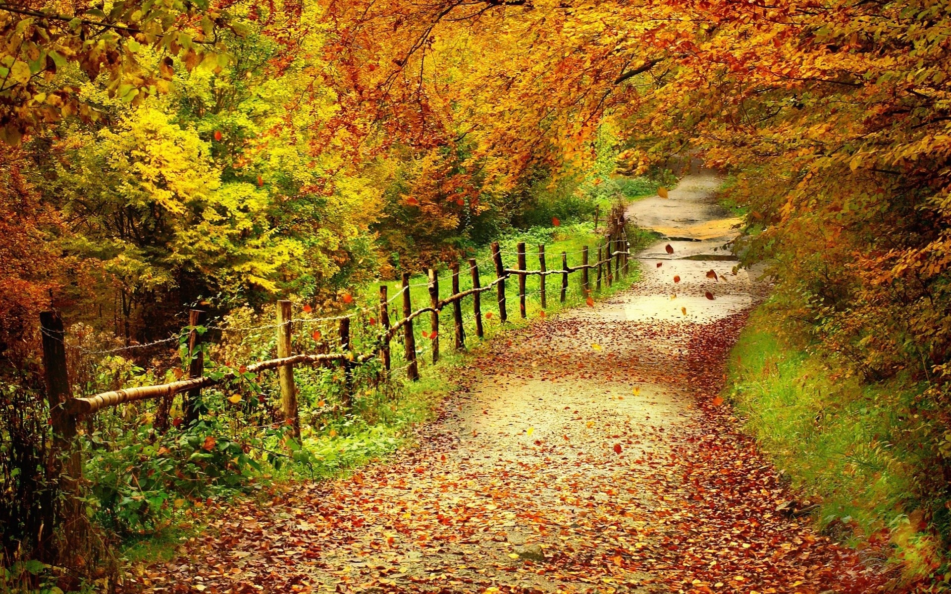 Country Roads Wallpaper