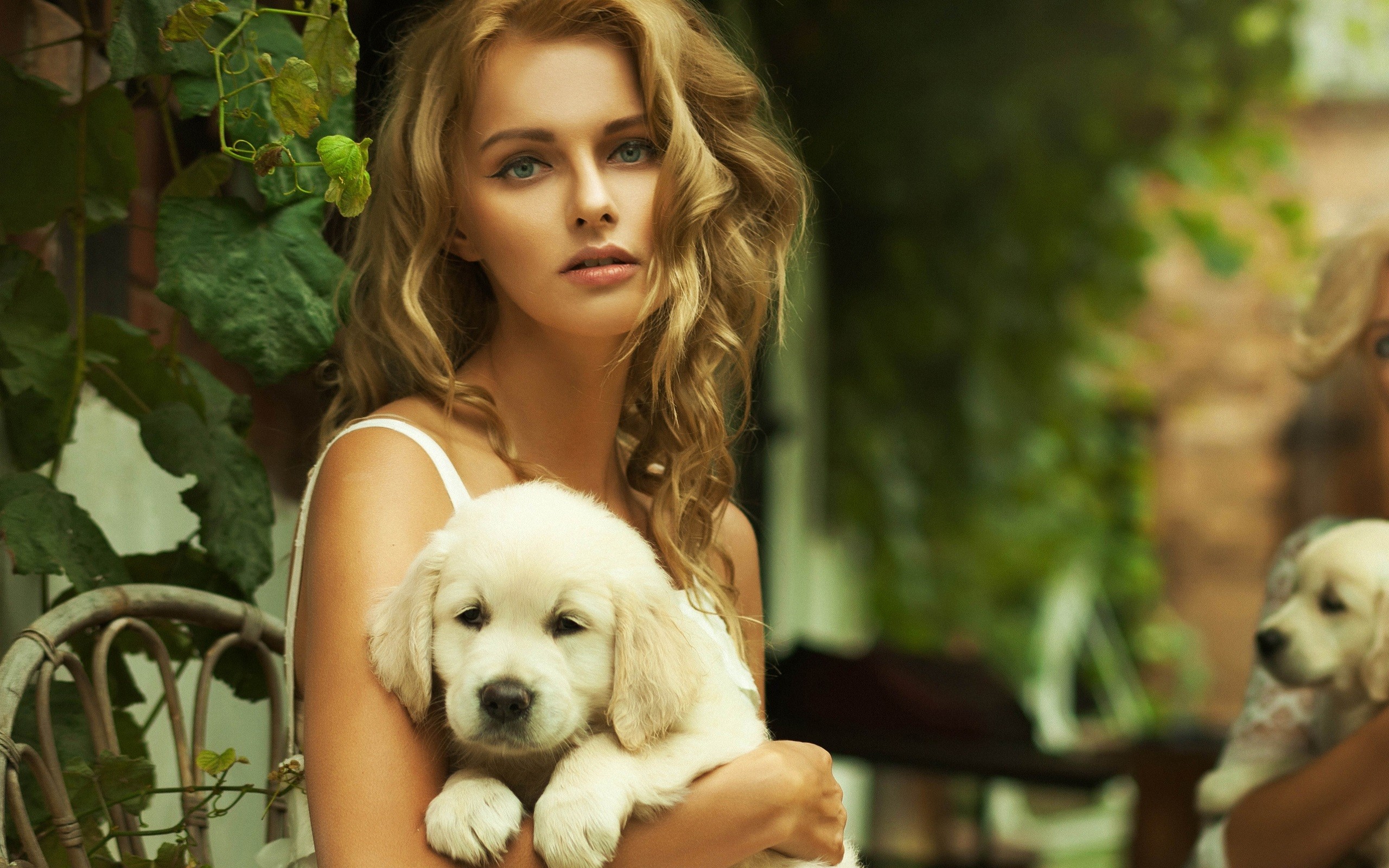 Beautiful Blonde Wallpaper Face Girl Puppy Tenderness