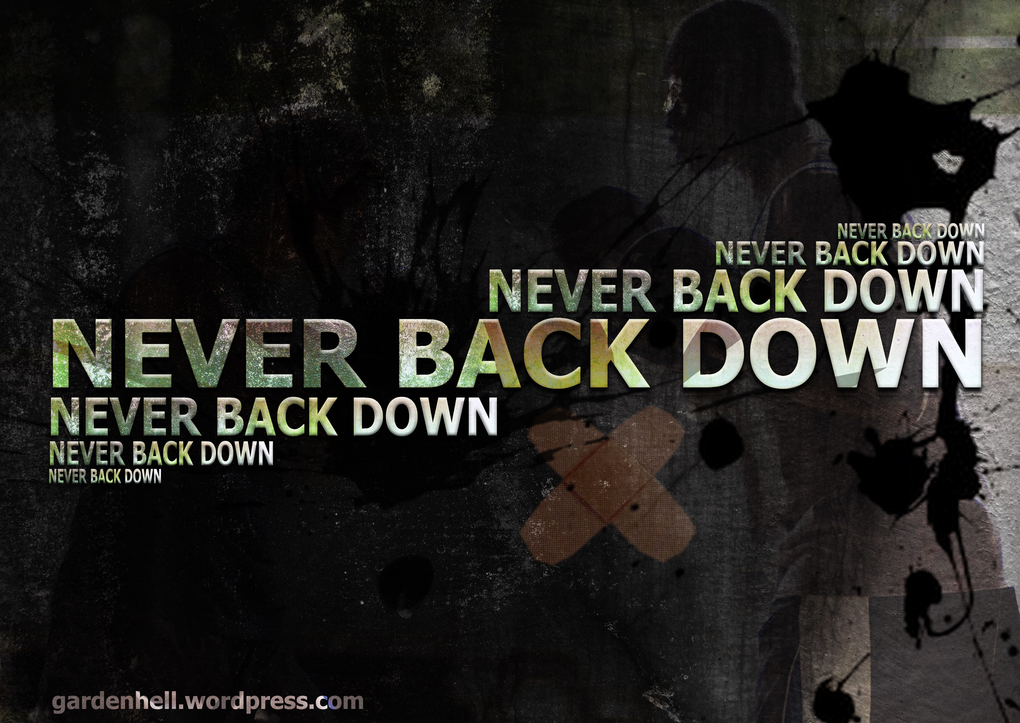 Free download Never Back Down Wallpaper Image Group 38 [3264x2314] for your  Desktop, Mobile & Tablet | Explore 21+ Never Back Down Wallpapers | Smack  Down Wallpapers, Never Shout Never Wallpaper, Smack Down Wallpaper