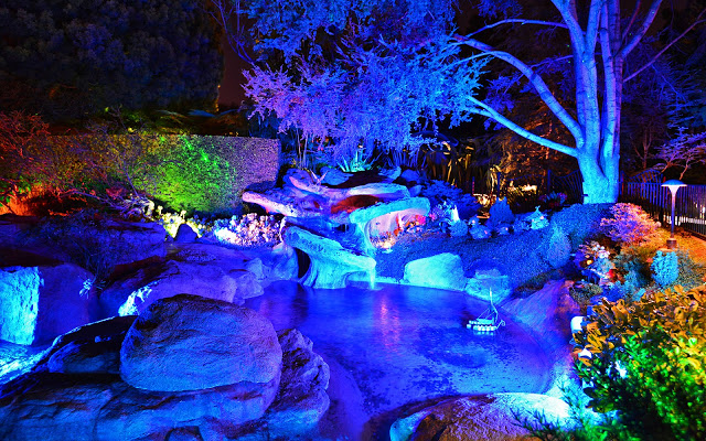  of Pixie Hollow at night certainly contains its share of pixie dust