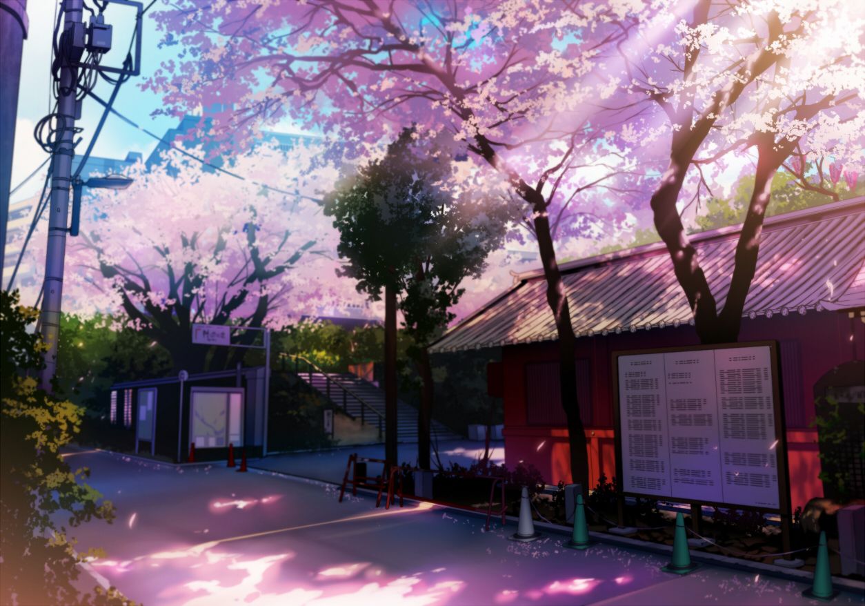 Anime landscape, spring, cherry blossom, sakura bloom, trees, path, Anime,  HD wallpaper | Peakpx