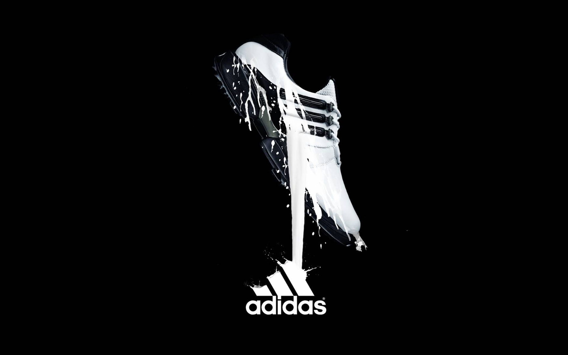 Adidas shoe with white paint splash on black background