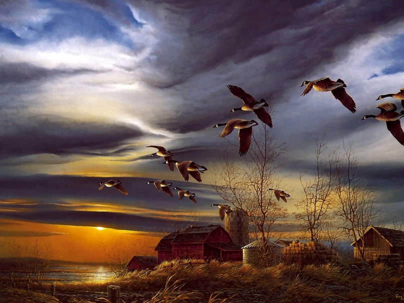 Terry Redlin Painting Silent Sunset Wallpaper
