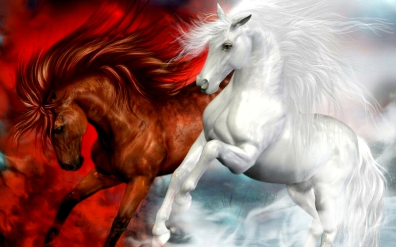 Fantasy Art Horses Creatures Horsea Wallpaper Animals