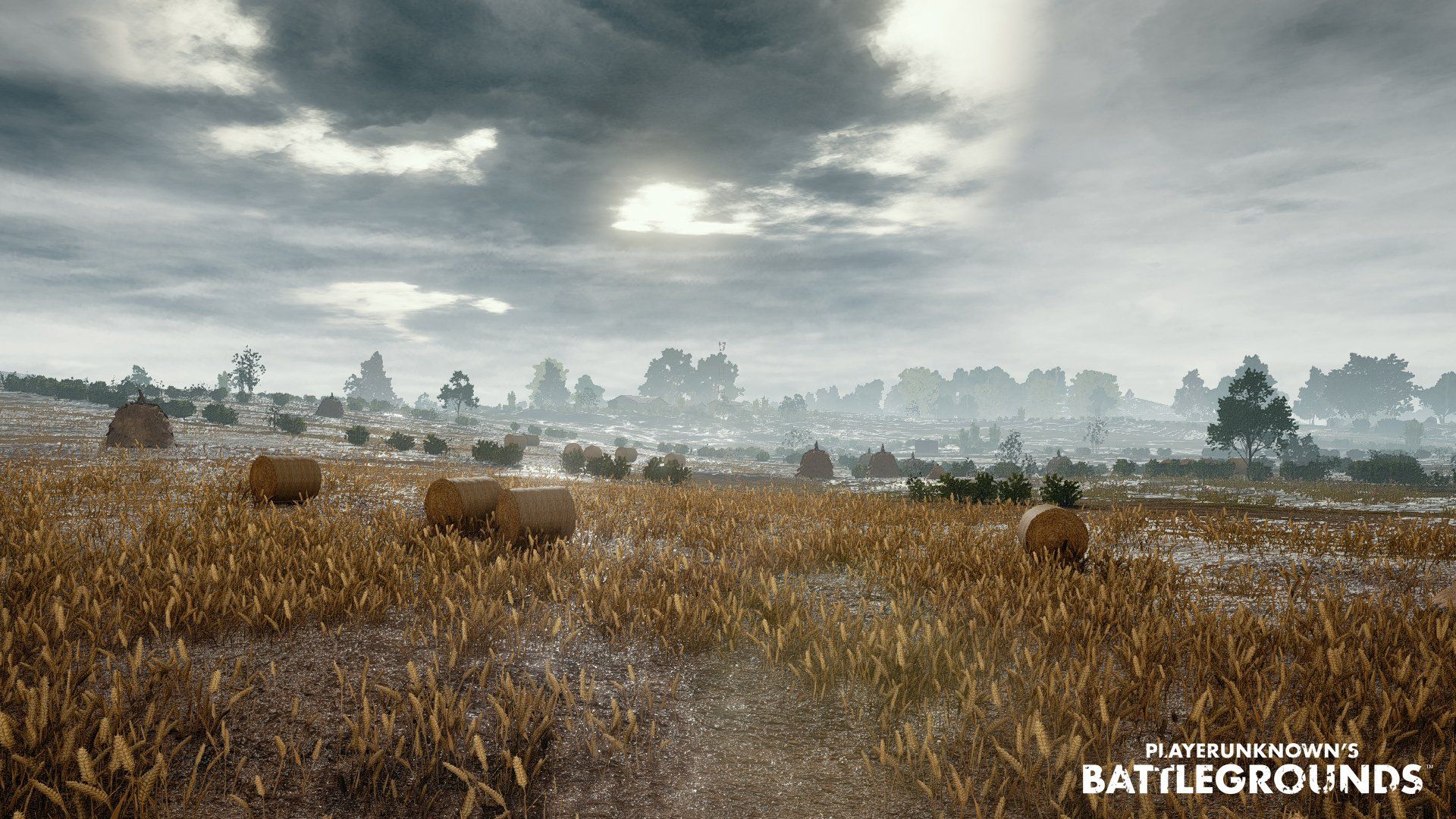 Playerunknowns Battlegrounds Wallpaper