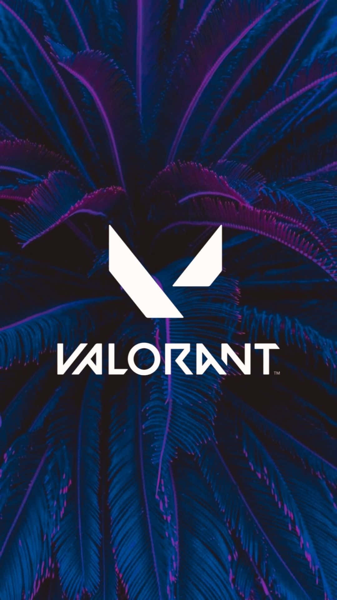 Get Ready To Take On The Valorant Arena With iPhone X Wallpaper