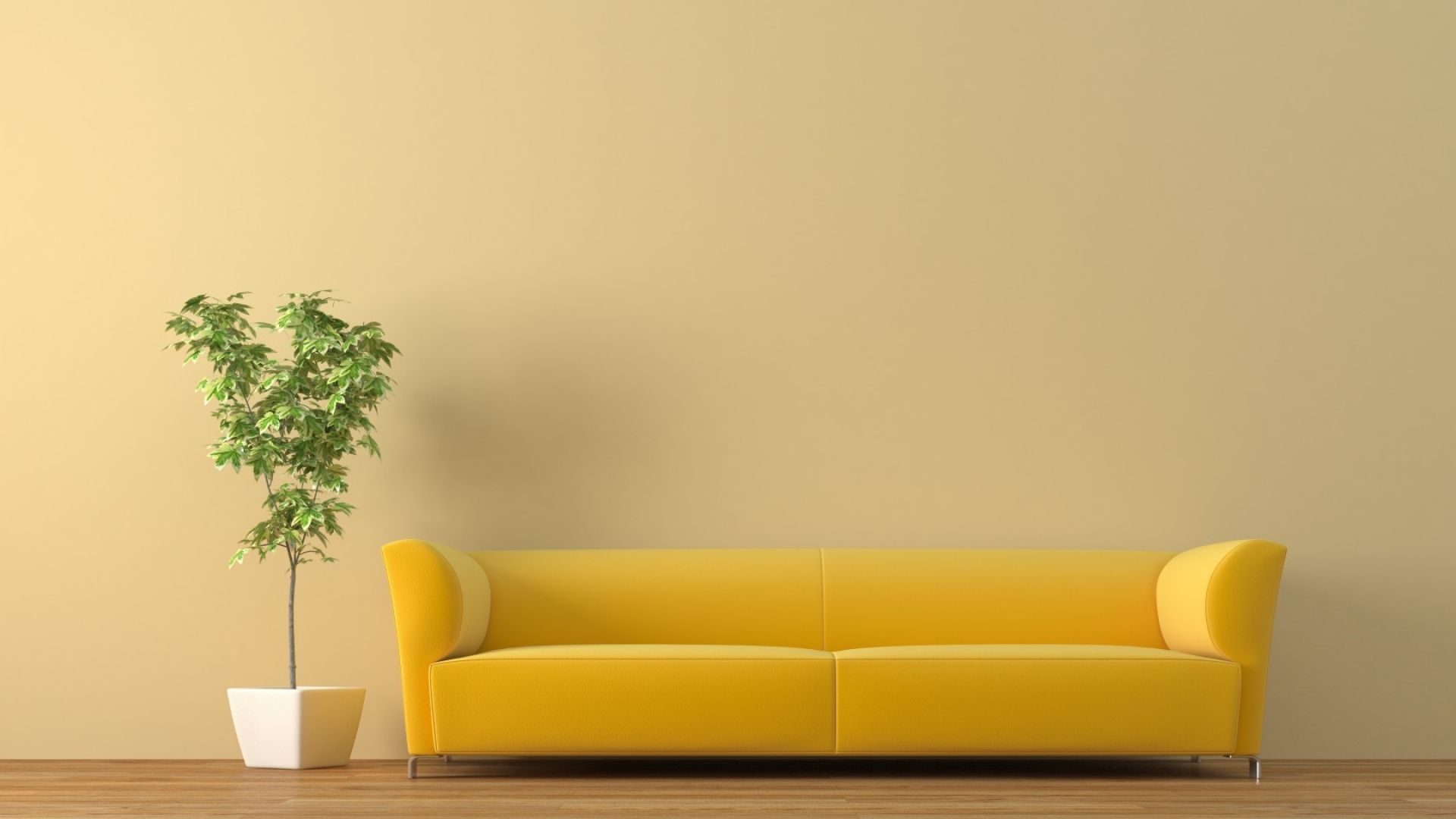 Wallpaper Sofa Tub Plant Background For Showing