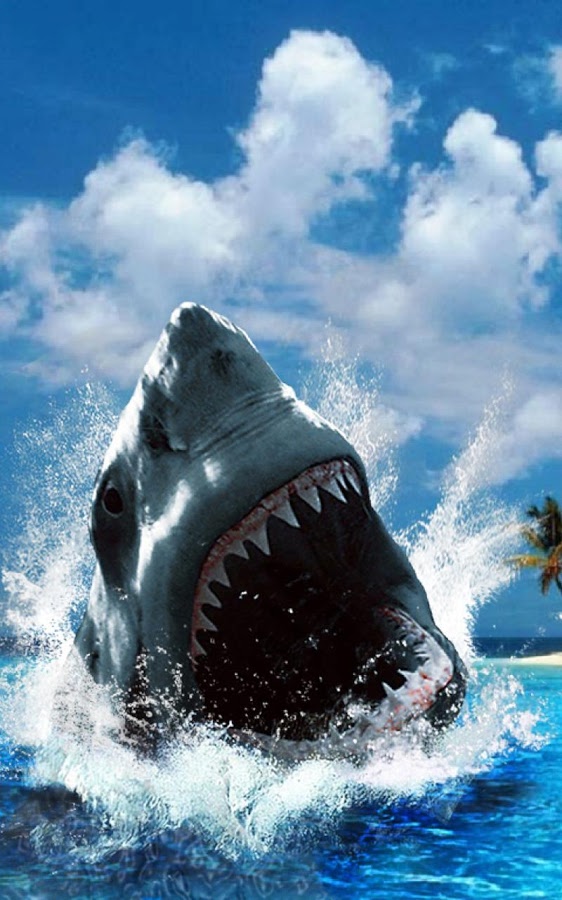 Shark HD Live Wallpaper Is The Most Spectacular