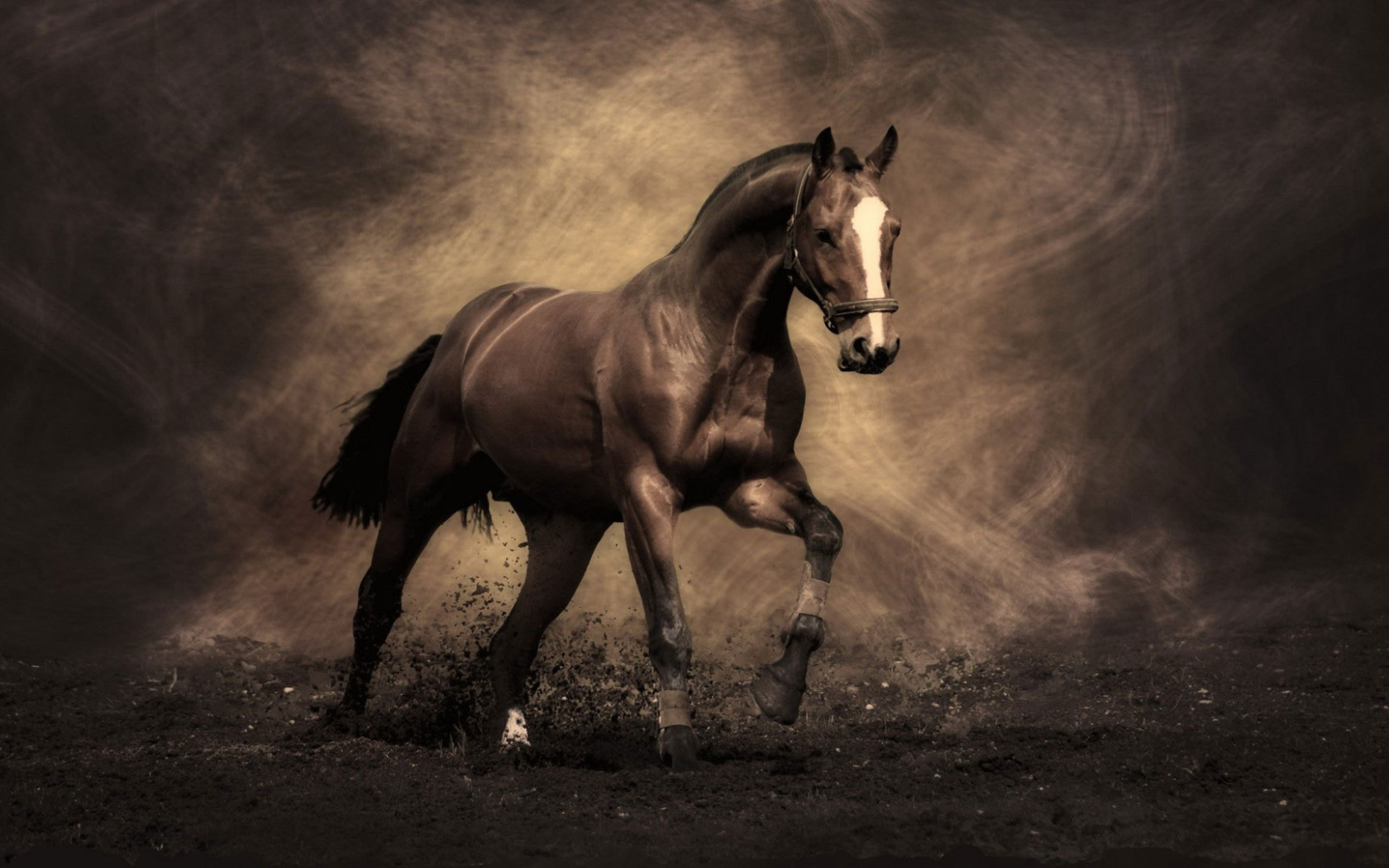 The Most Famous Horses Desktop Wallpaper