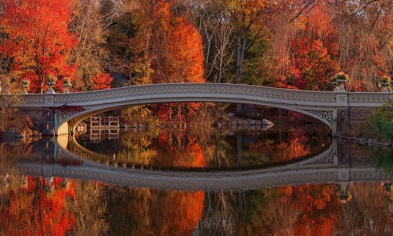 Image New York City Usa Central Park Autumn Bridge Nature Parks