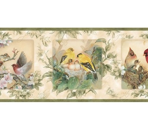Love Birds Wallpaper Border Home Decorati