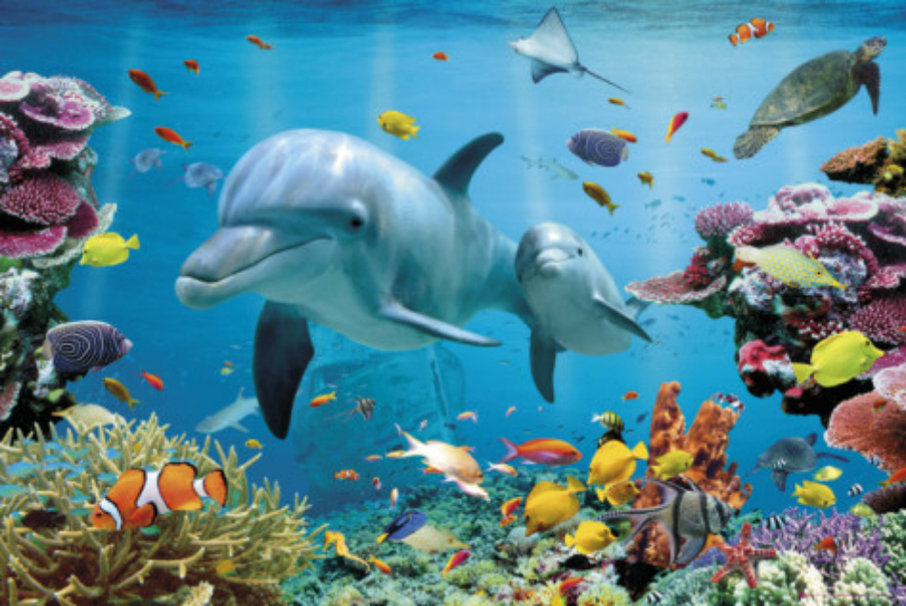 Underwater Ocean Background Wallpaper