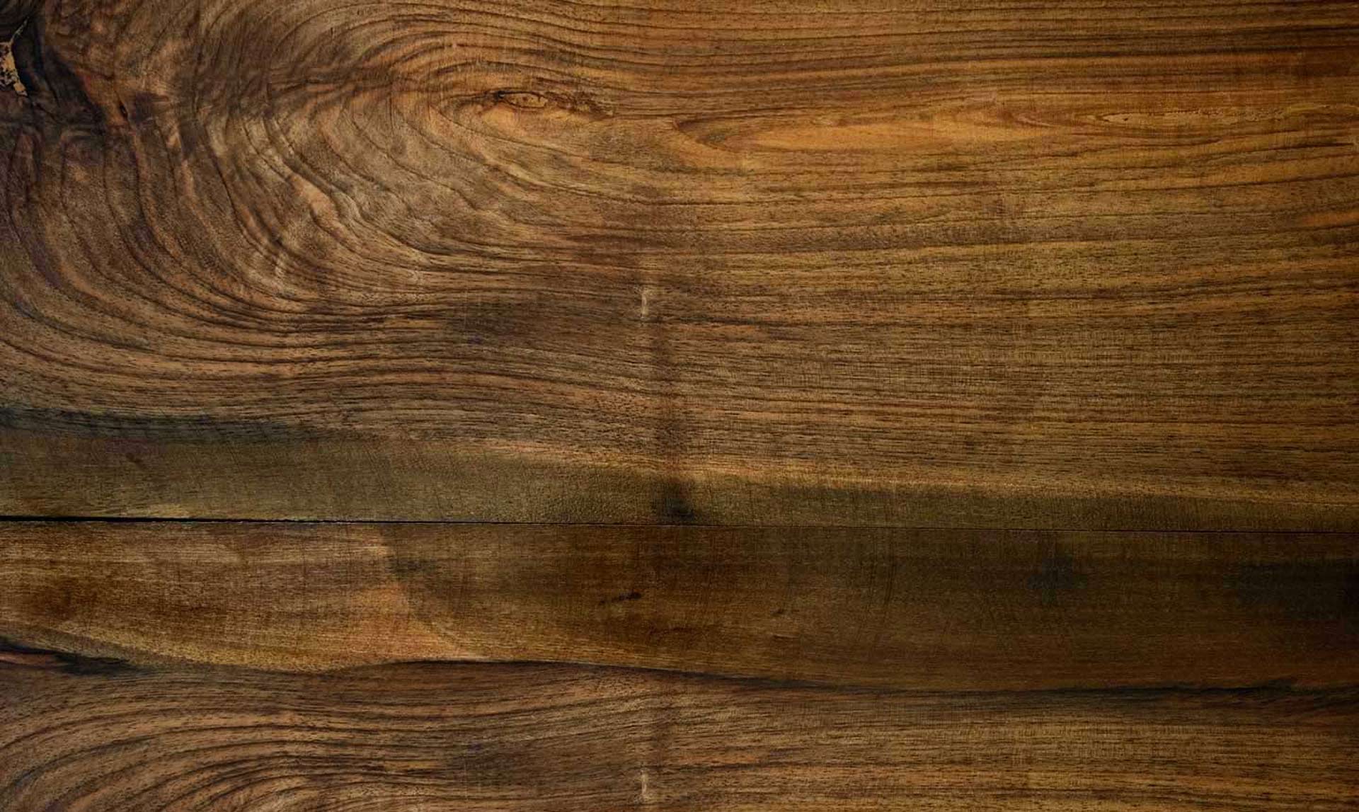 Best Woodsy Background