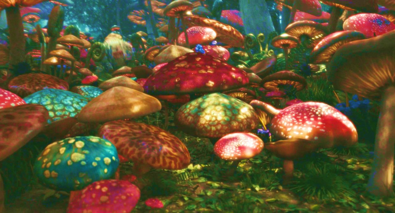 Go Back Image For Mushrooms Trippy Wallpaper
