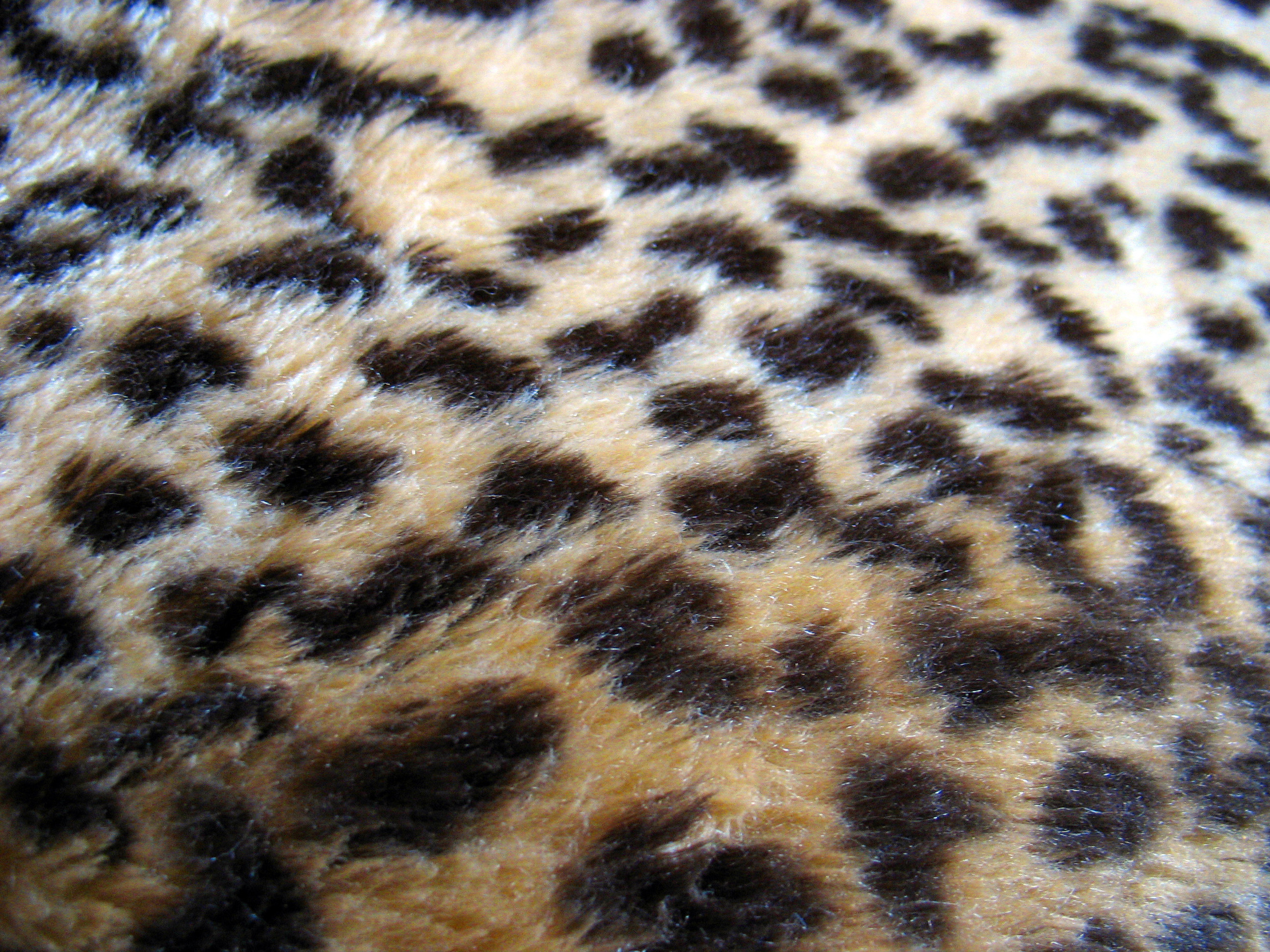 Leopard Print Desktop Wallpaper Background Bigwol