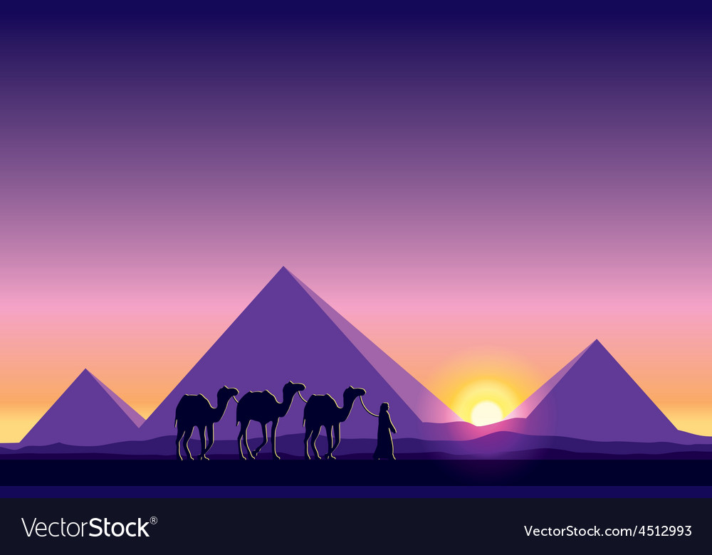 Egypt Great Pyramids On Sunset Background Vector Image