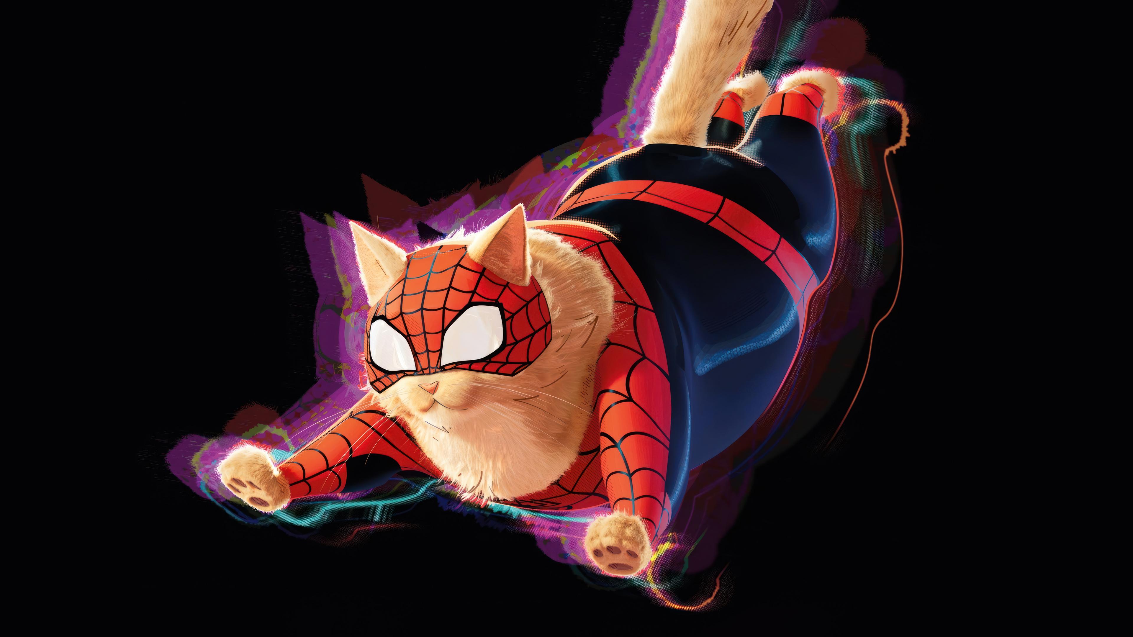 Spider Cat Man Across The Verse 4k Wallpaper iPhone