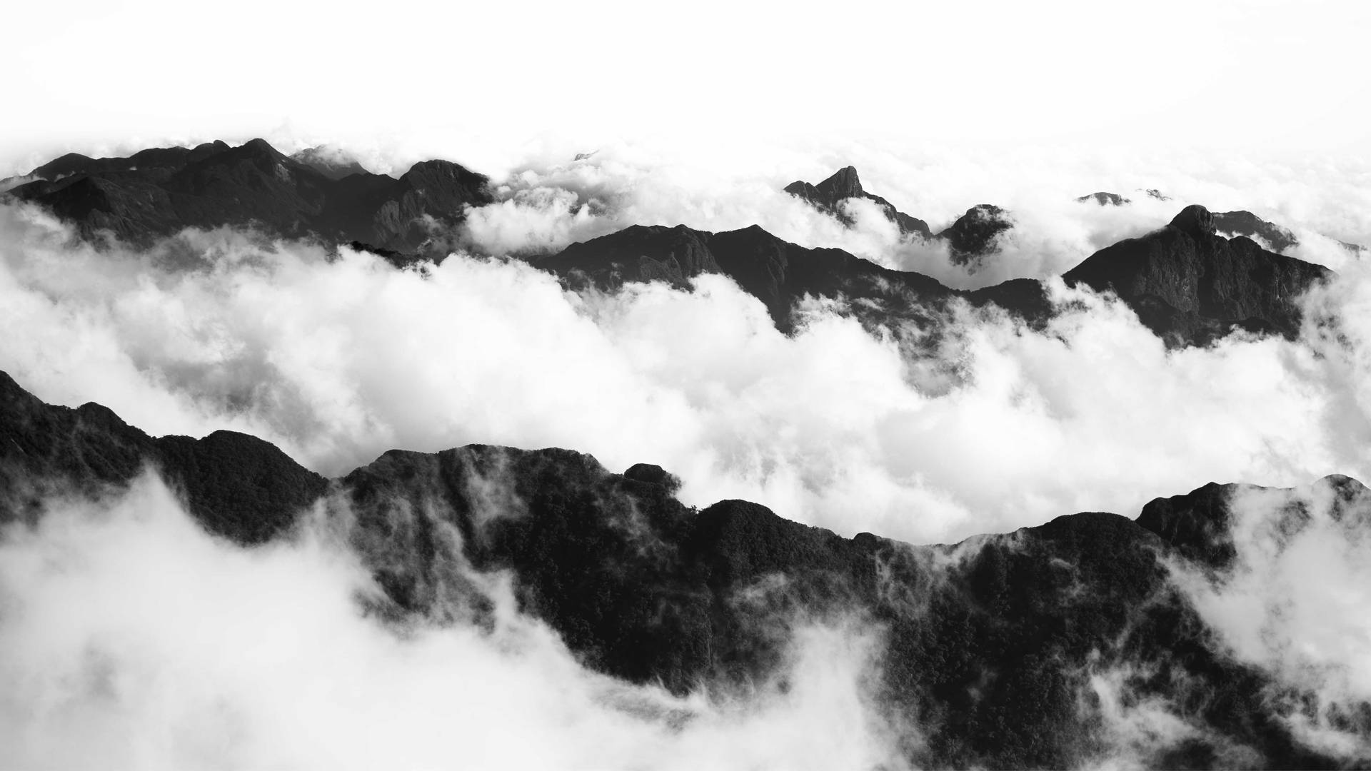 White Abstract Wallpaper