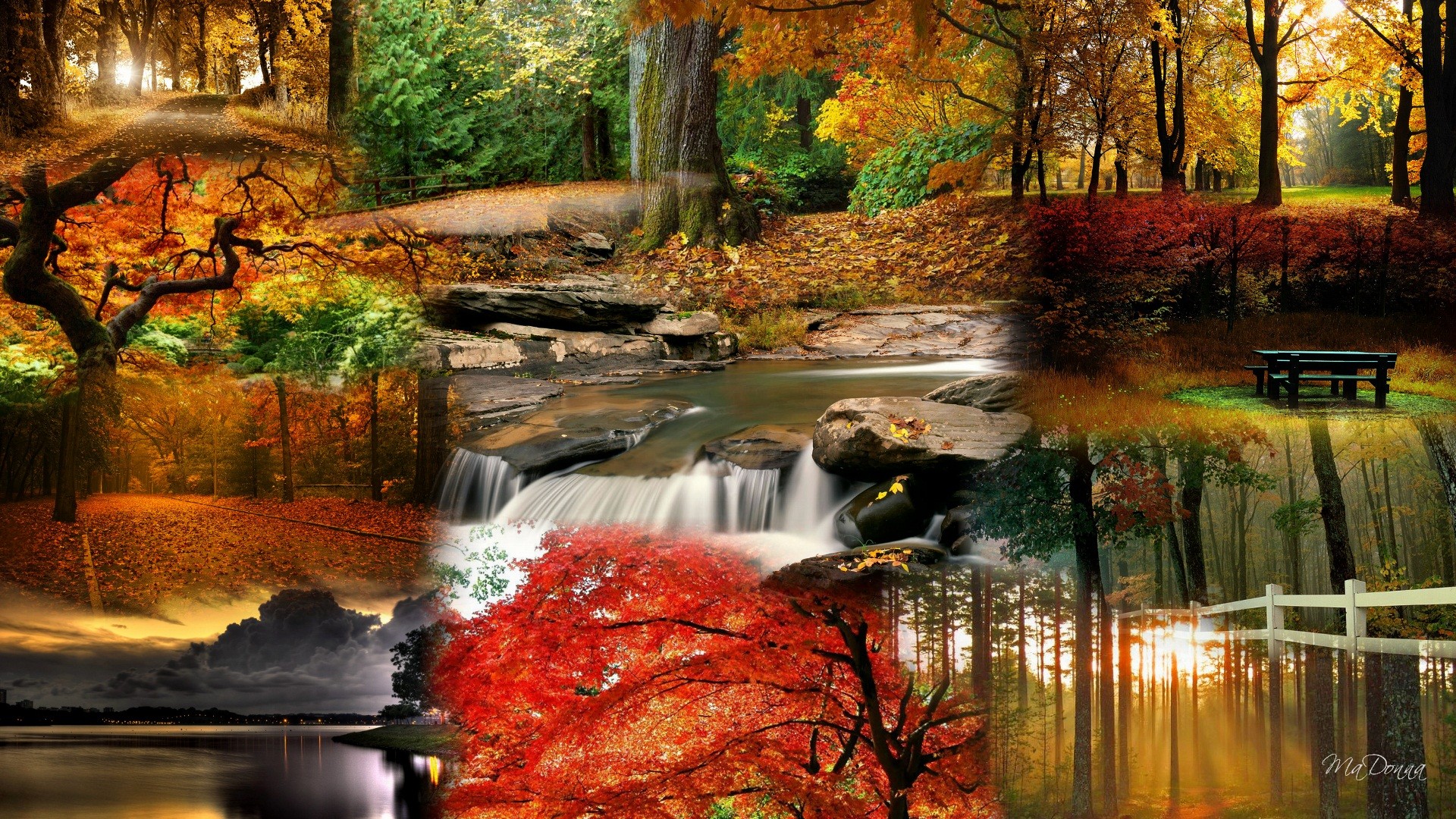 Mo Autumn Color Country Fall Falls Leaves Trees HD Desktop
