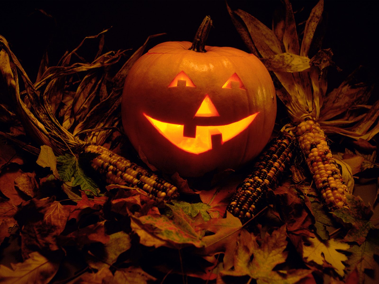 Glowing Pumpkin Seasonal Wallpaper Image Featuring Halloween