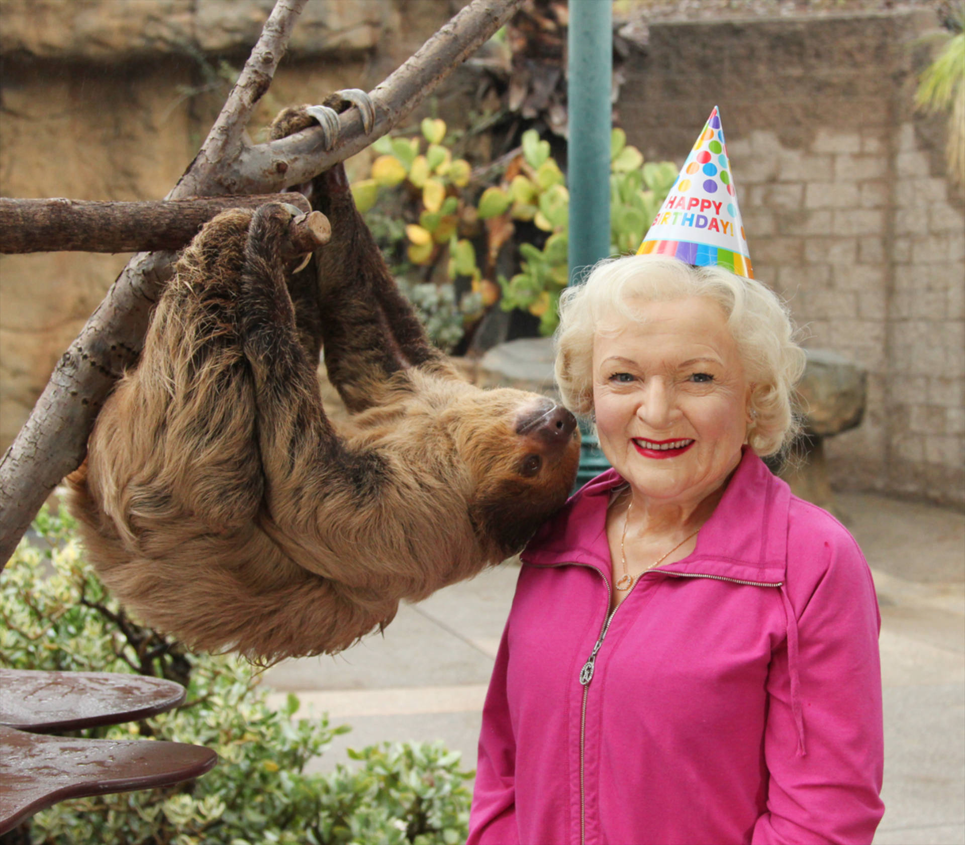 Top Betty White Wallpaper Full HD 4k To Use