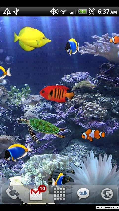 Aquarium Donation Live Wallpaper App To Your Android Phone