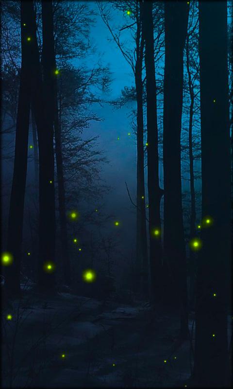 Fireflies Live Wallpaper Is The Right For Your Phone If You