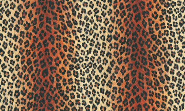 Free download Leopard Print Wallpaper by Wallpaperdirect [640x386] for