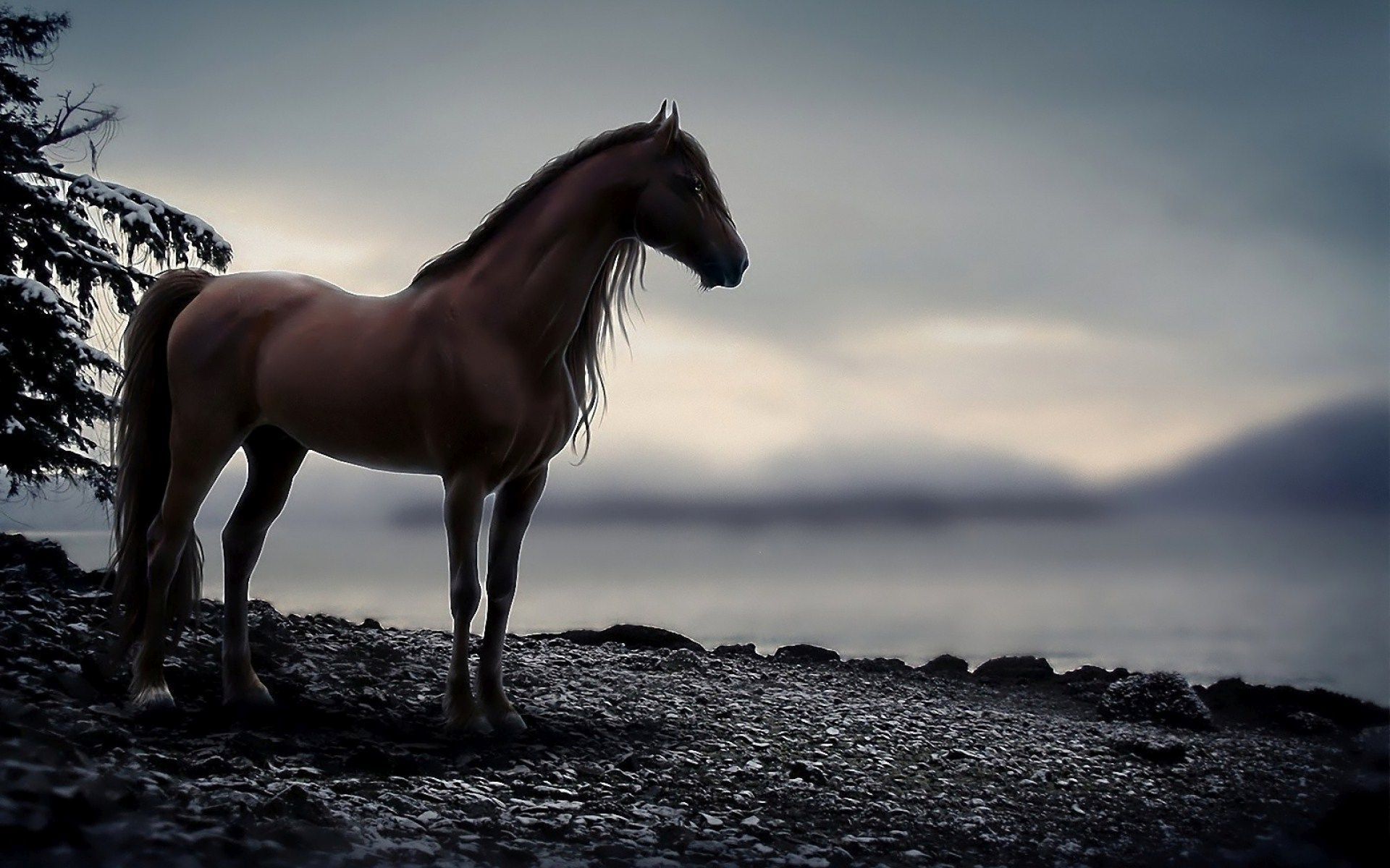 A majestic brown horse stands on a rocky shore, overlooking a misty lake at dusk. A snow-dusted evergreen tree frames the left side of the image, adding to the serene winter atmosphere