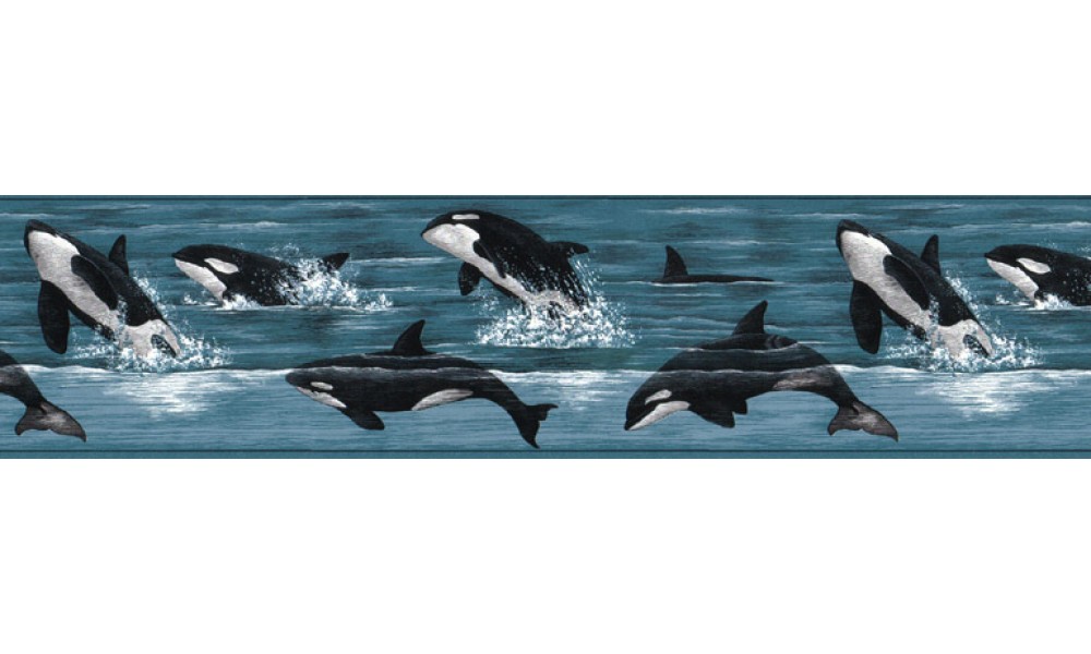 Home Dolphin Wallpaper Border B149263