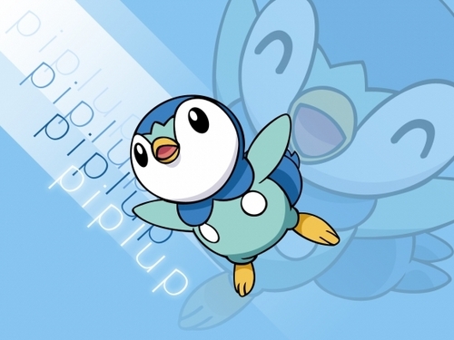 Piplup Wallpaper Photo